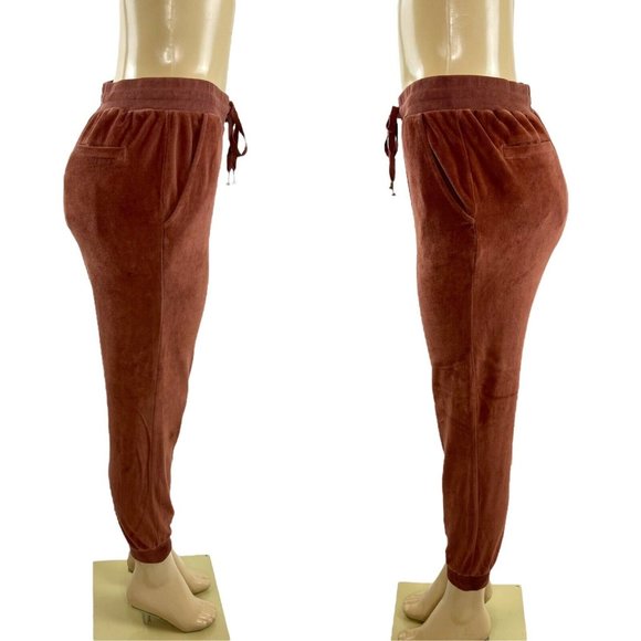 Young Fabulous & Broke Velour Joggers Size S Cherrywood Pockets Drawstring Pants - Picture 5 of 10